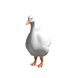 White goose