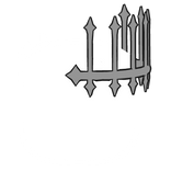 White Head Outline Aura
With White Crown BEST