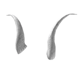 White Iron Horns