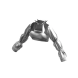 White Modern Victorian Blouse[JEYS]