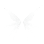 White Mystic Lace Wings