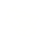 white neon flowers ( korblox )