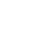 white neon valkyrie