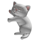 White Shoulder Kitten