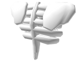 White Skeleton Torso