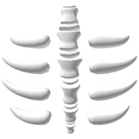 White Solid Phantom Spine