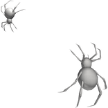 white spiders crawling face