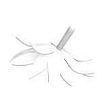 white strawberry leaves