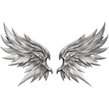 White Transpire Wings