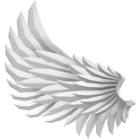 White Wing ( Right )