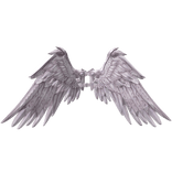 White/Pink w details icarus wings recoloring addon