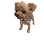 Willow