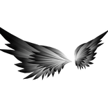 Wing