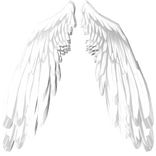 wings