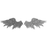 Wings