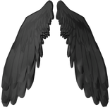 wings