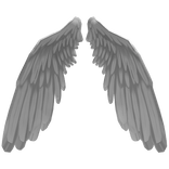wings