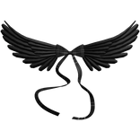 wings
