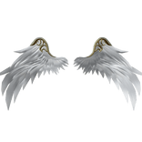 Wings