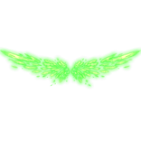 wings