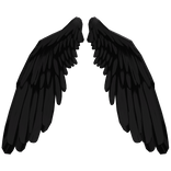 wings
