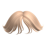 Wispy Bangs in Blonde