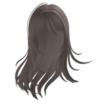 wispy long straight hair with bangs in light brown