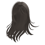 wispy long straight hair with cute bangs in brown