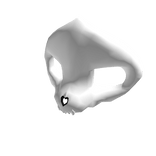 wolfymask_testing_reasons2