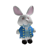 Wonderland Bunny ⋆｡°✩