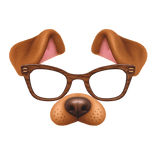 Woodgrain Dog Filter Sticker