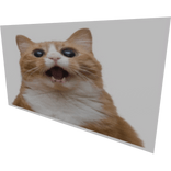 WORLDS BIGGEST FUNNY CAT