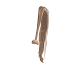 WORLDS BIGGEST PONYTAIL IN BLONDE