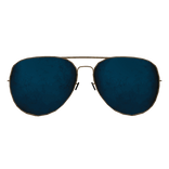 Worn Aviators
