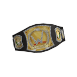 
Wrestling Championship Title Belt (Spinner 2.0)