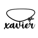 xavier 3.0