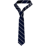 Y2K 3.0 Striped Tie