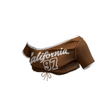 Y2K Varsity Baby Tee(Brown)