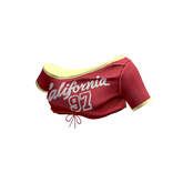 Y2K Varsity Baby Tee(Red)