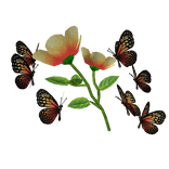 Yellow flower with butterfly