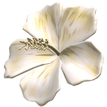 Yellow Hibiscus Summer Hair Flower