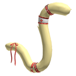 Yellow Red Ribbon Nurse Cat Tail