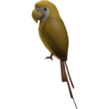(Yellow) Right Shoulder Parrot