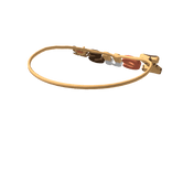 ZEUS FOREVER MY OWNER