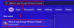Windows' search bar with the "Allow an app through Windows Firewall" option displayed