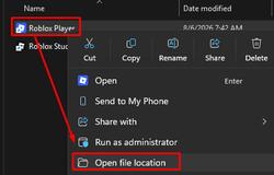 The "open file location" over the Roblox Player shortcut