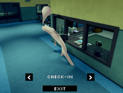 A camera anomaly in Animal Hospital