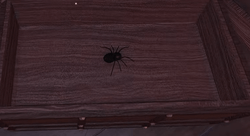 Timothy in DOORS