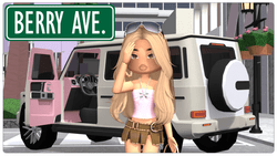 Berry Avenue gallery