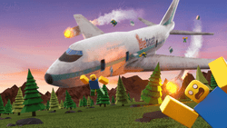 Survive a Plane Crash gallery